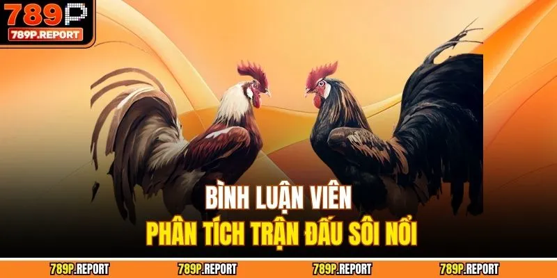 Bình luận viên phân tích trận đấu sôi nổi