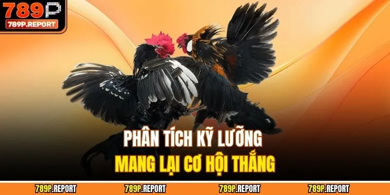 Phân tích kỹ lưỡng mang lại cơ hội thắng