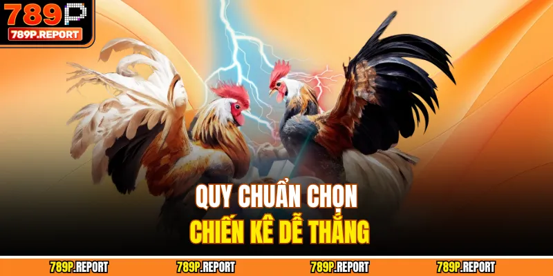 Quy chuẩn chọn chiến kê dễ thắng 