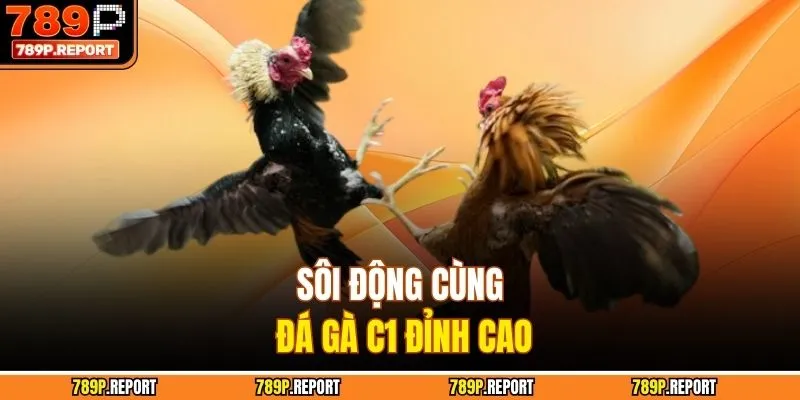 Sôi động cùng đá gà C1 đỉnh cao